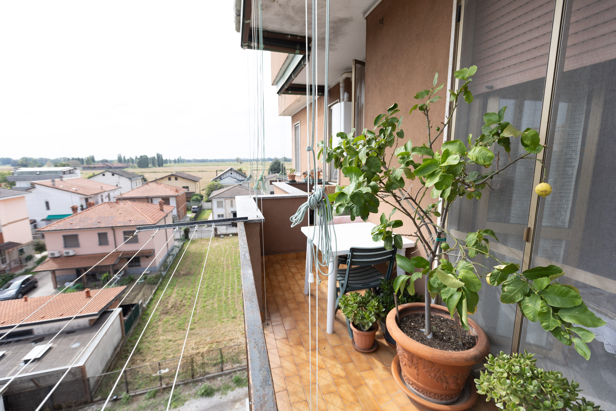 Ottimo anche come investimento